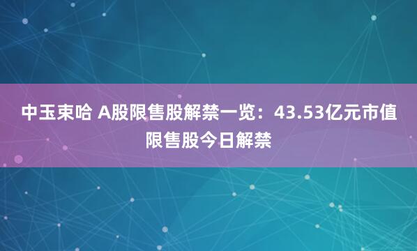 中玉束哈 A股限售股解禁一览：43.53亿元市值限售股今日解禁