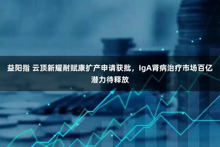 益阳指 云顶新耀耐赋康扩产申请获批，IgA肾病治疗市场百亿潜力待释放