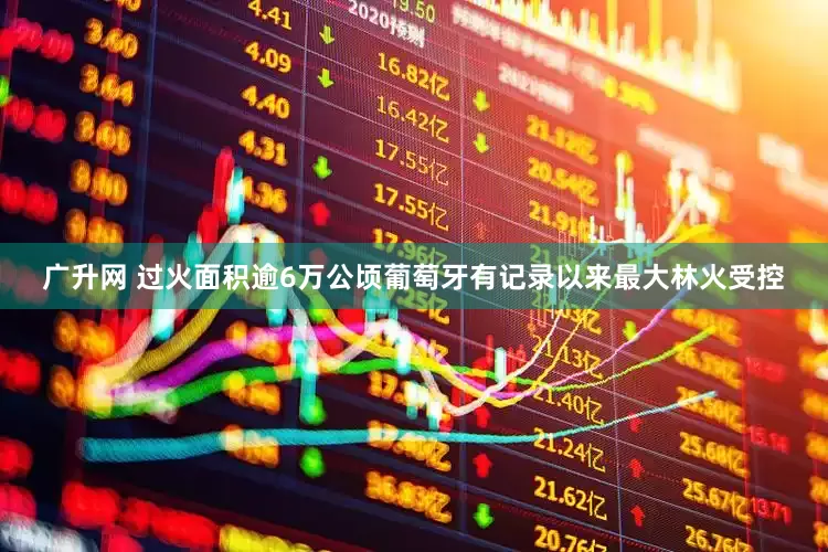 广升网 过火面积逾6万公顷　葡萄牙有记录以来最大林火受控