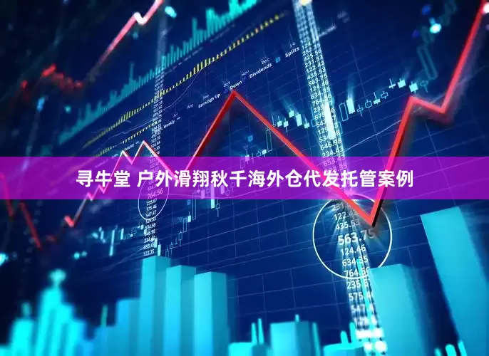 寻牛堂 户外滑翔秋千海外仓代发托管案例